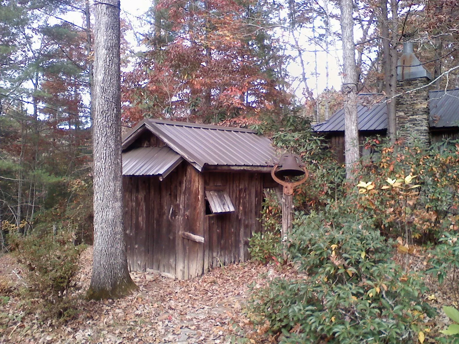 Small metal roof on a rough sawn shed in the woods in Thornton